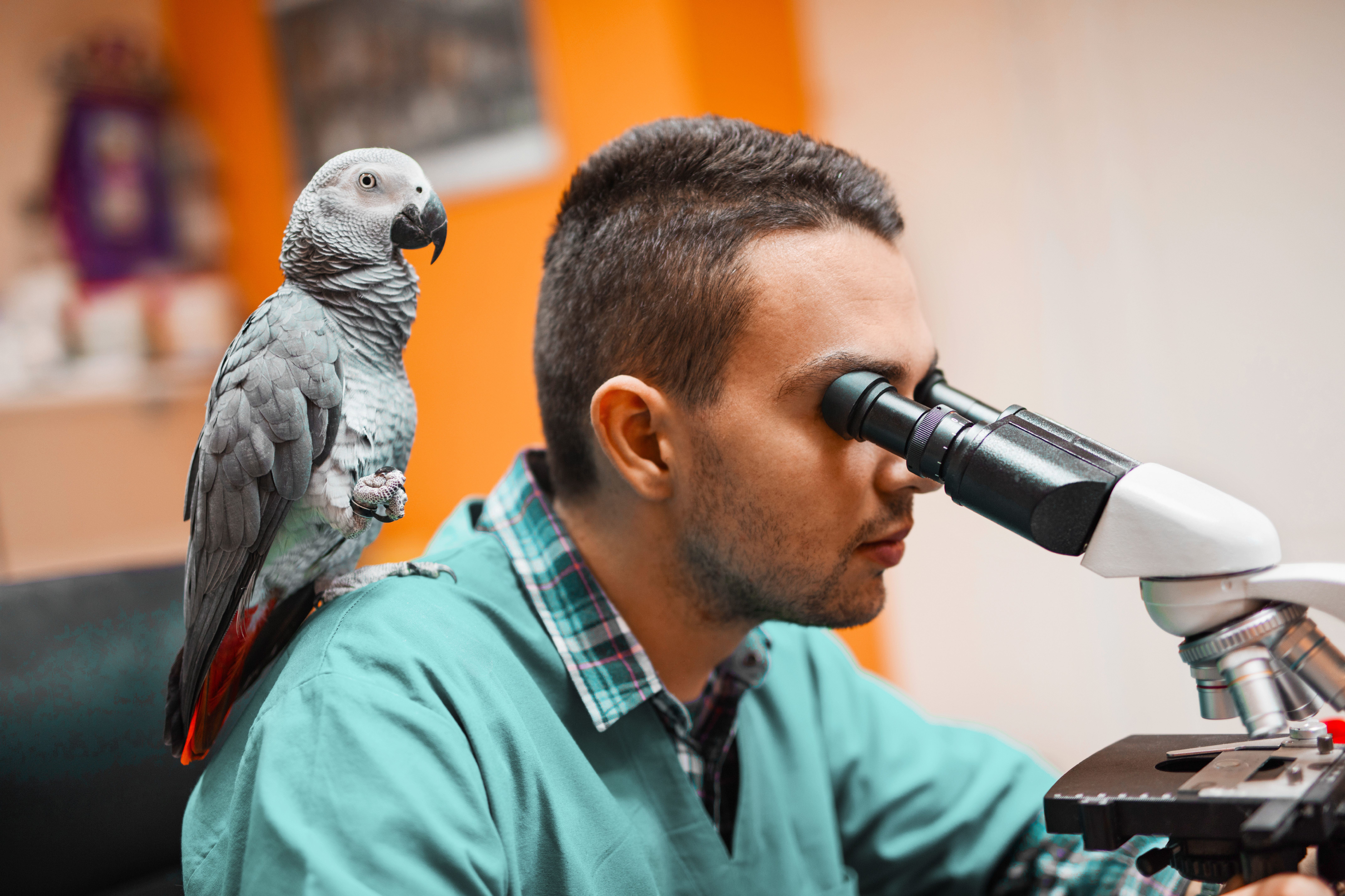 Veterinarian with a bird