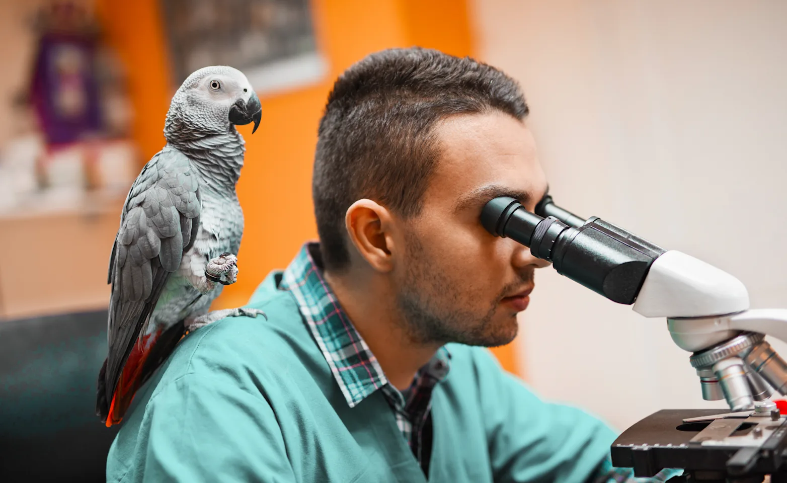 Veterinarian with a bird Veterinarian with a bird