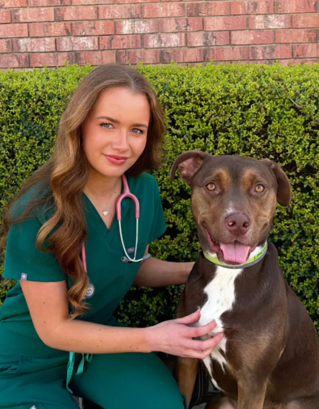 Dr. Bain at 303 Animal Clinic Dr. Bain at 303 Animal Clinic