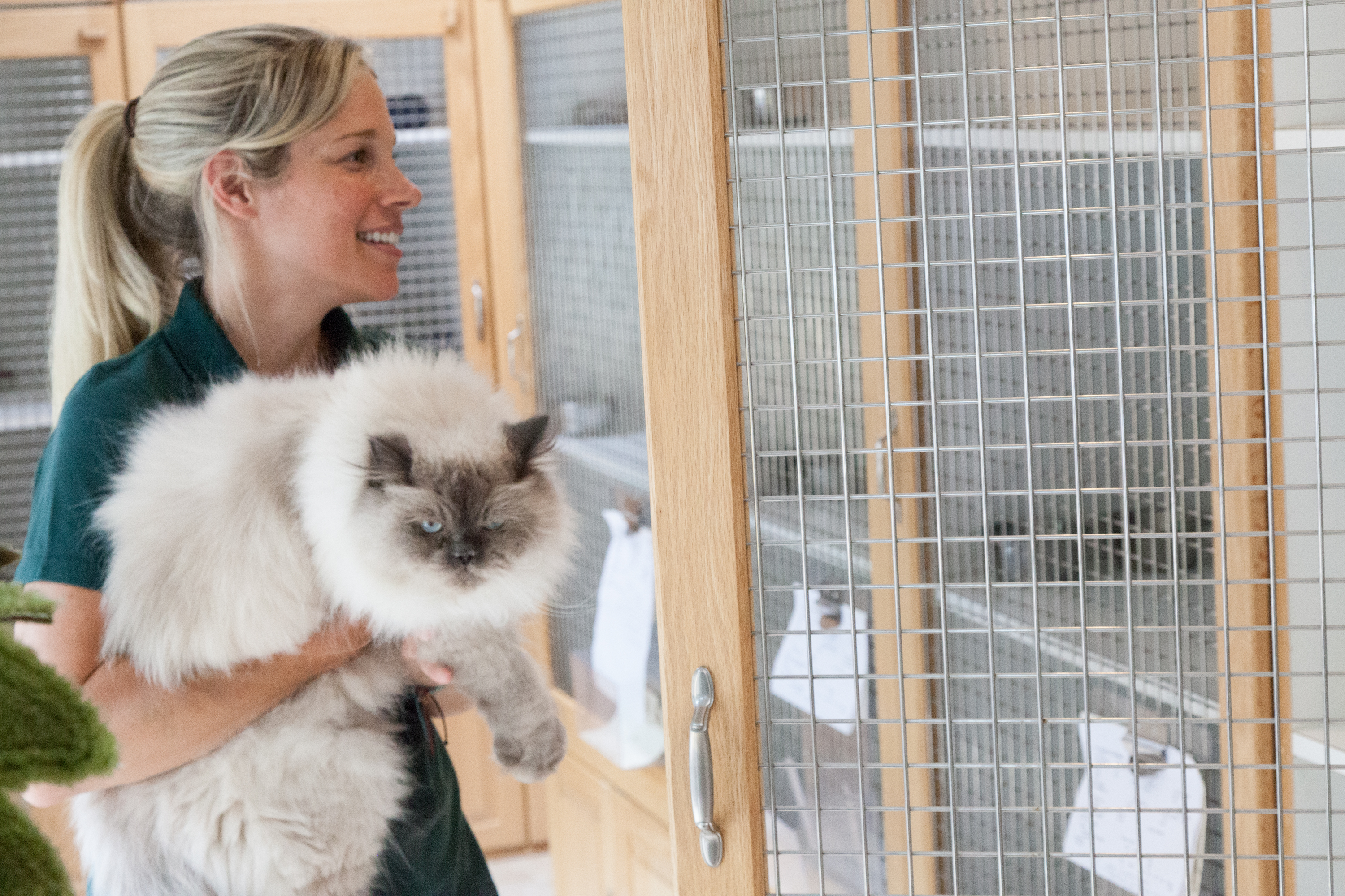 Candlewick Kennels Cat Boarding