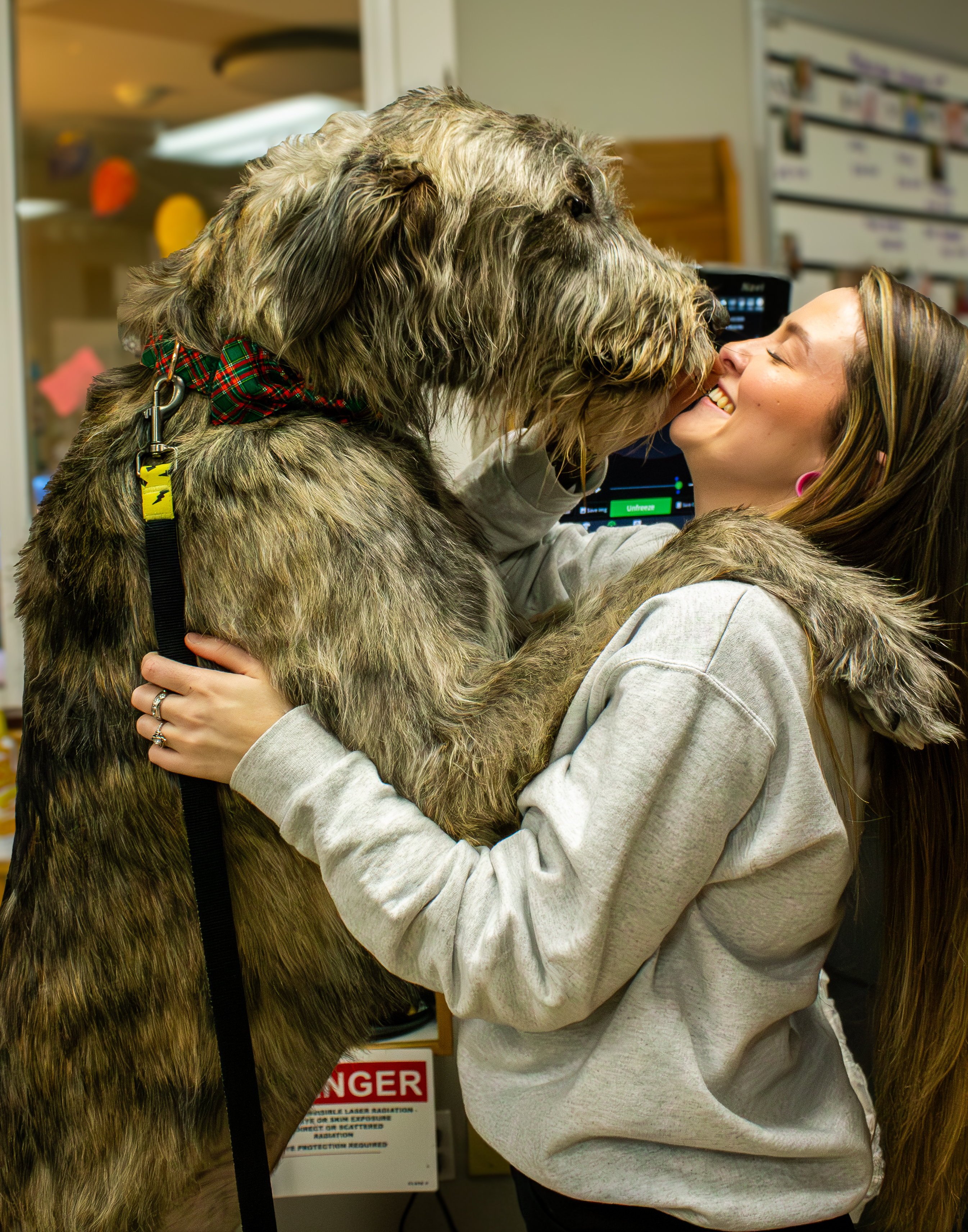 Lauren Receiving Kisses from a Big Dog (Fenrir)