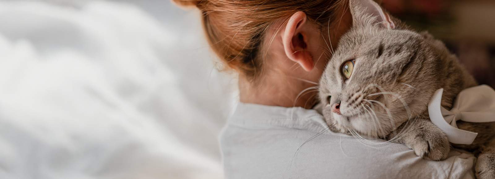 Woman Holding Gray Cat