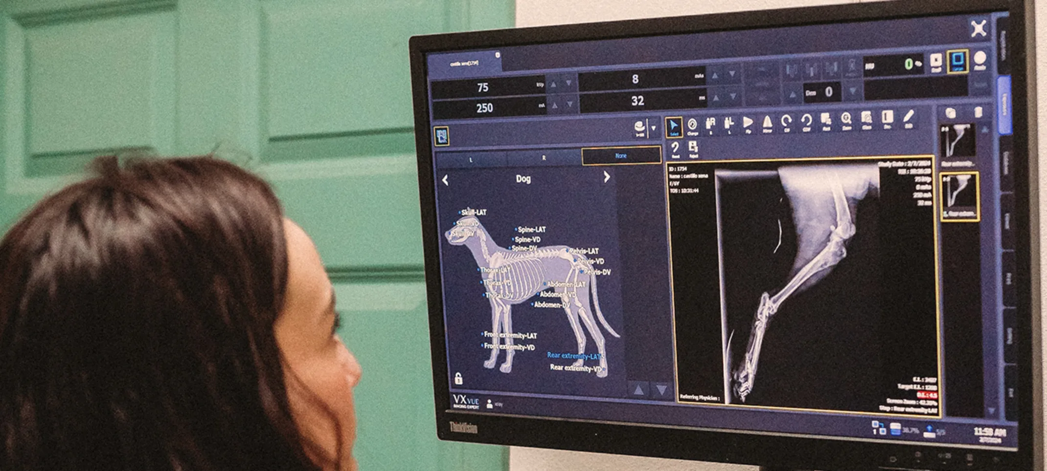 A technician looking at x-rays A technician looking at x-rays