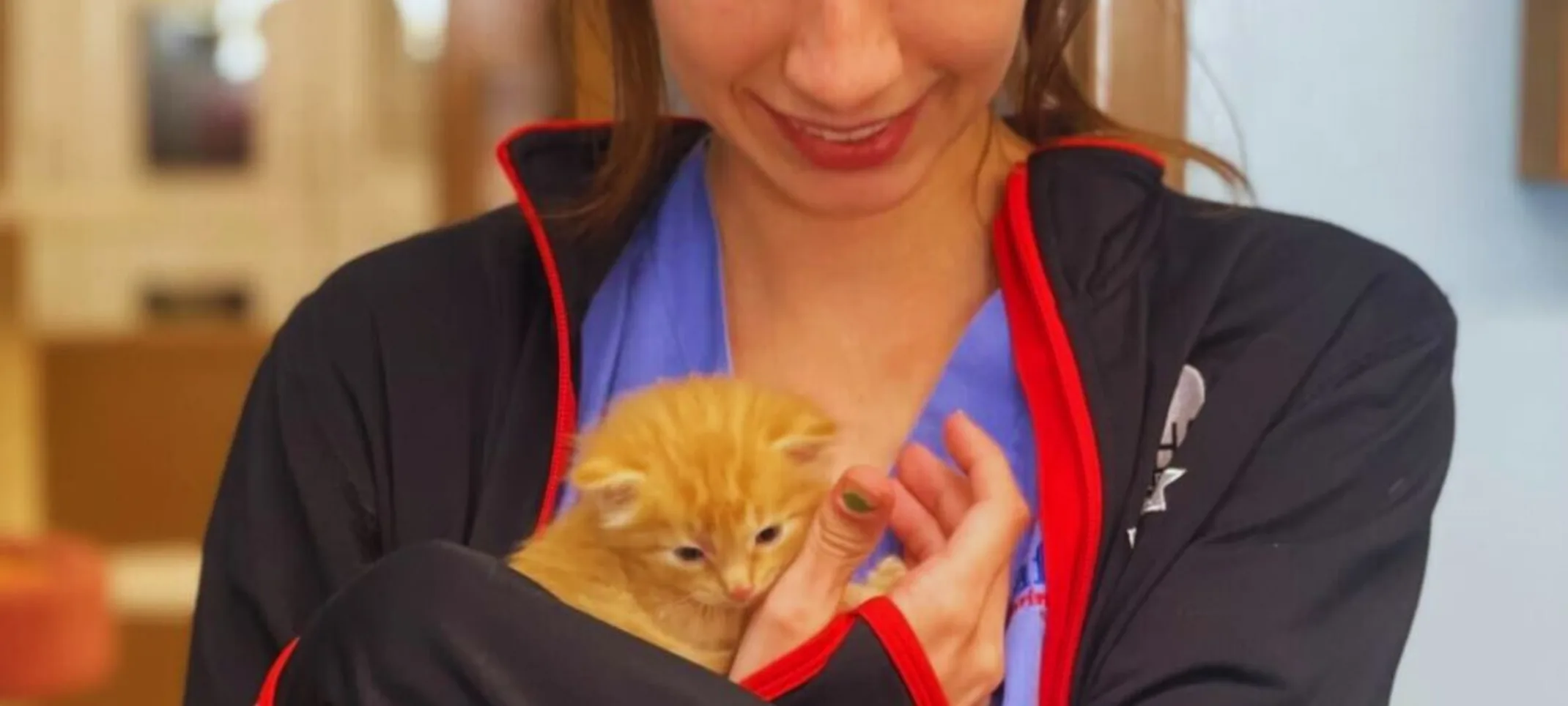 Vet holding orange kitten Vet holding orange kitten