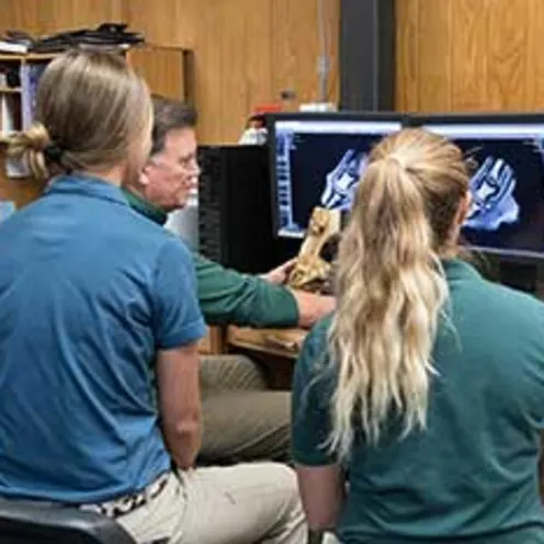 Interns at Virginia Imaging Equine at training Interns at Virginia Imaging Equine at training