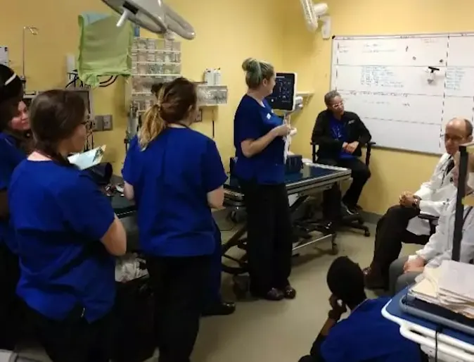 Staff members reviewing information on a whiteboard Staff members reviewing information on a whiteboard