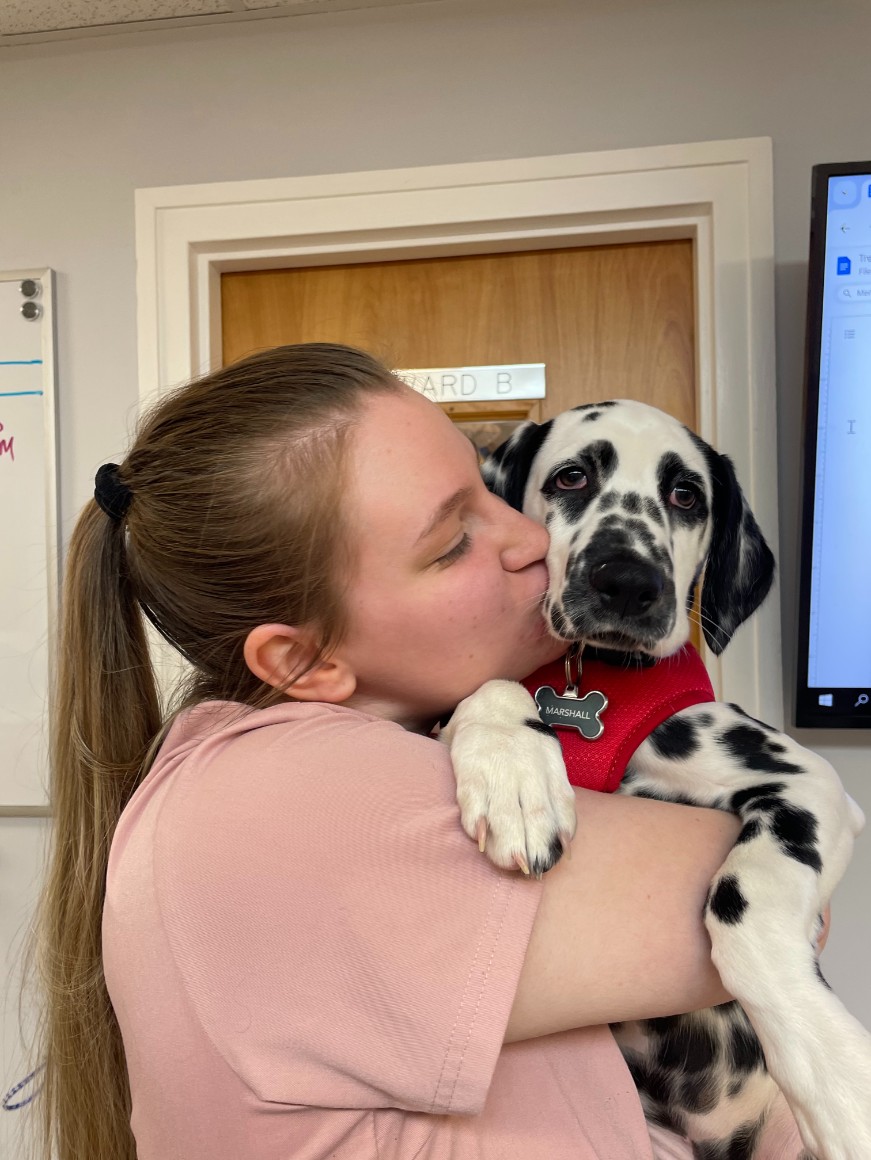 Dalmatian Kisses at Frisco Animal Hospital
