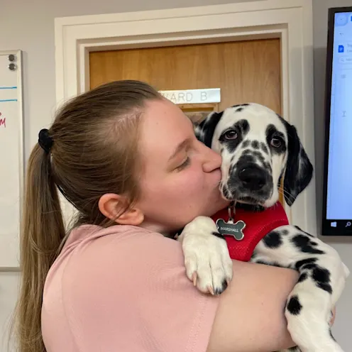 Dalmatian Kisses at Frisco Animal Hospital Dalmatian Kisses at Frisco Animal Hospital