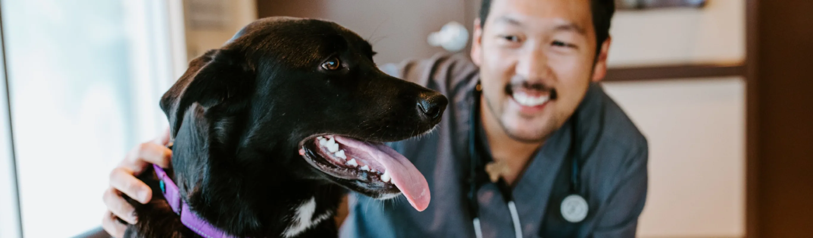 Doctor smiling with black dog at Overland Veterinary Clinic