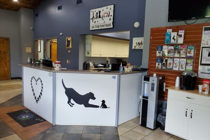 Lake Chatuge Animal Hospital Front Desk