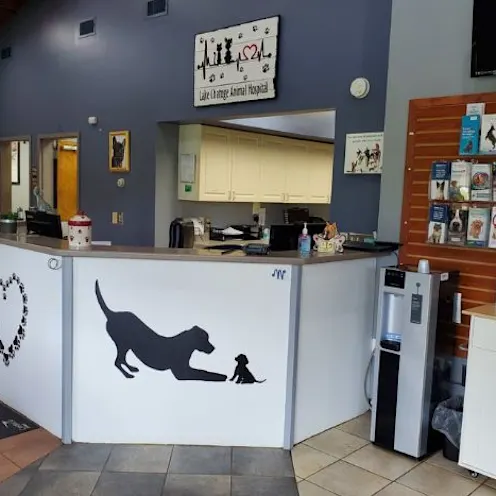 Lake Chatuge Animal Hospital Front Desk Lake Chatuge Animal Hospital Front Desk