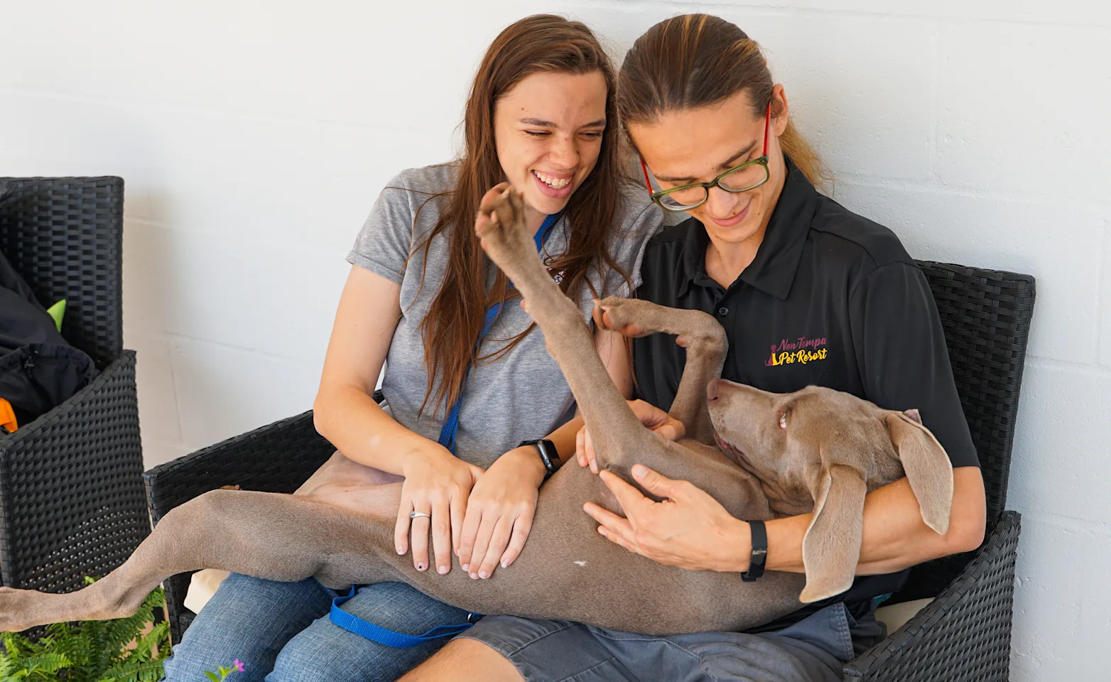 Dogs being held by two staff members Dogs being held by two staff members