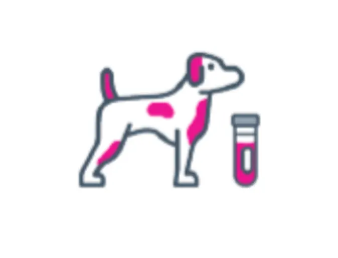 A cartoon vector of a dog and a test tube