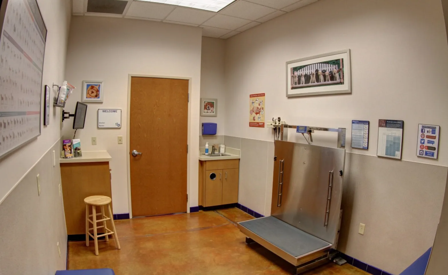 Spacious Exam Rooms inside McClintock Spacious Exam Rooms inside McClintock