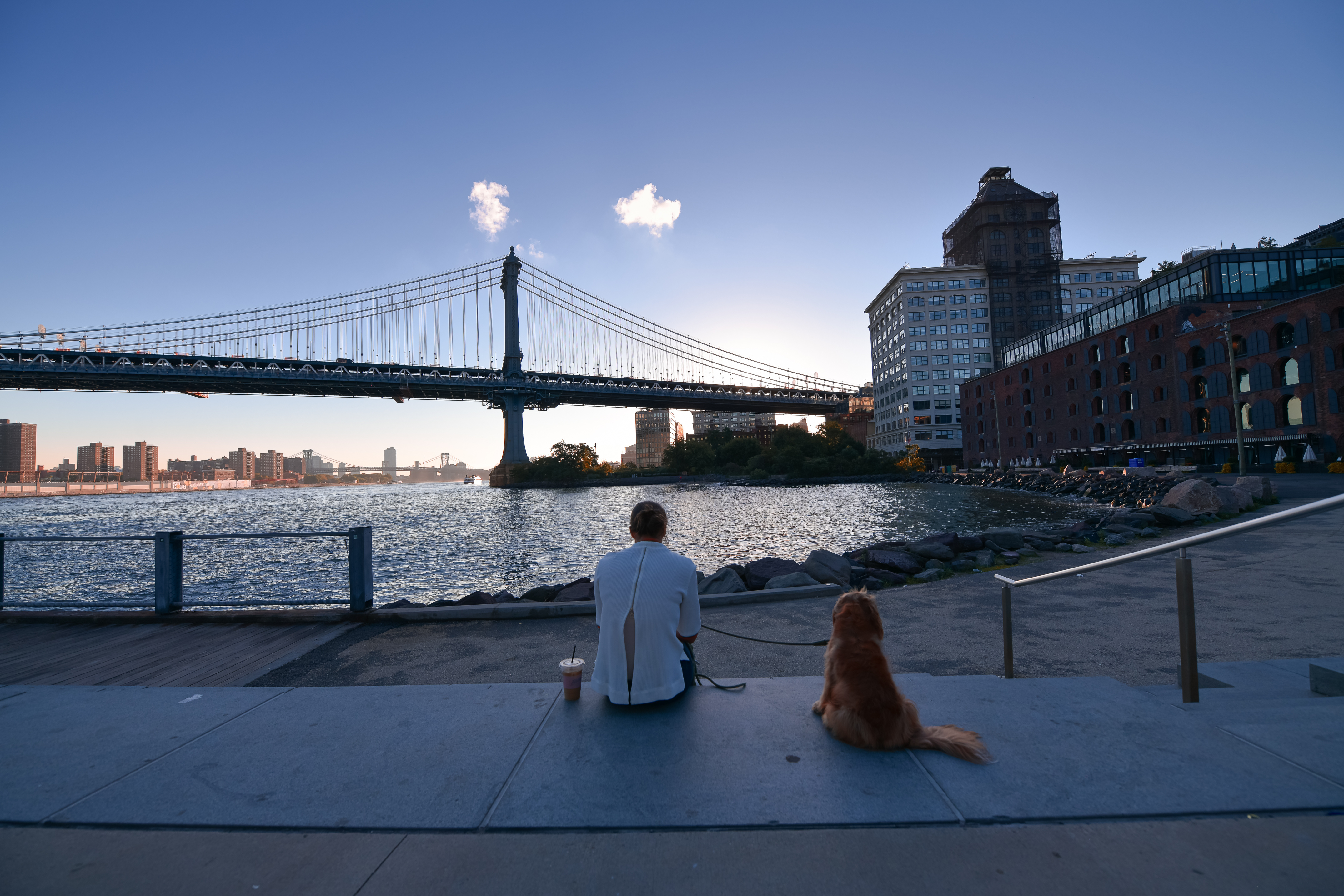Person and dog sitting looking at a bridge