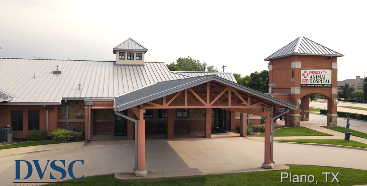 Dallas Veterinary Surgical Center's recruitment video