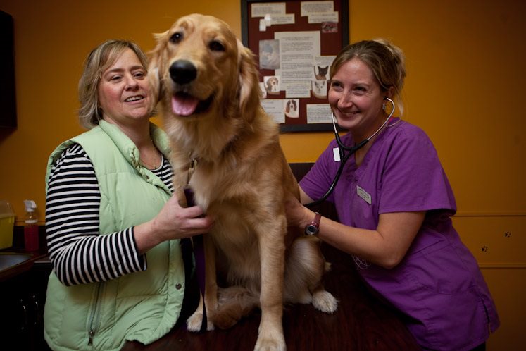 Golden retriever sitting between two women