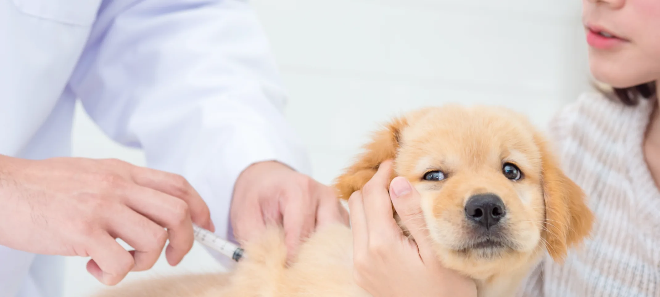 blood transfusion blood transfusion