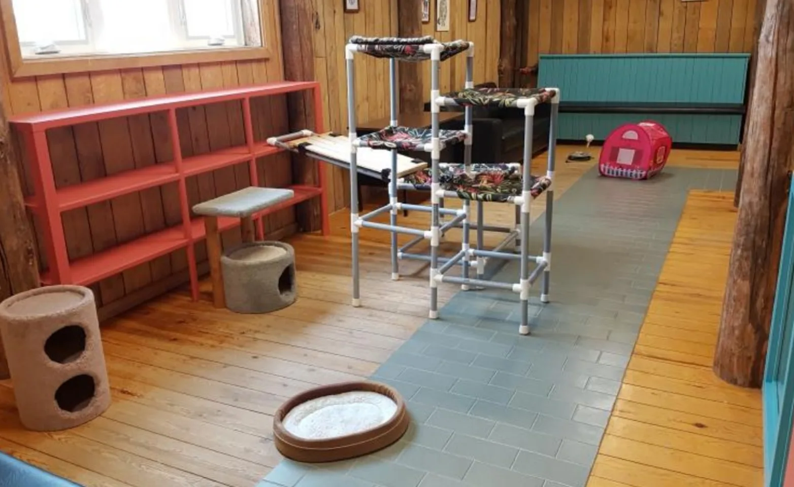 Cat boarding play area Cat boarding play area