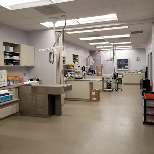 New Treatment Room New Treatment Room