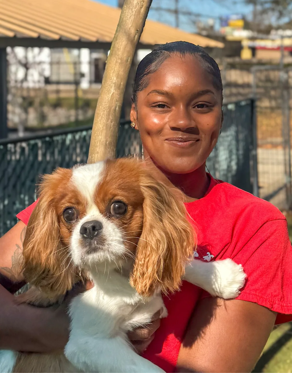 Aareanna T. Aareanna T.