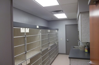 King of Prussia Veterinary Hospital Dog Ward
