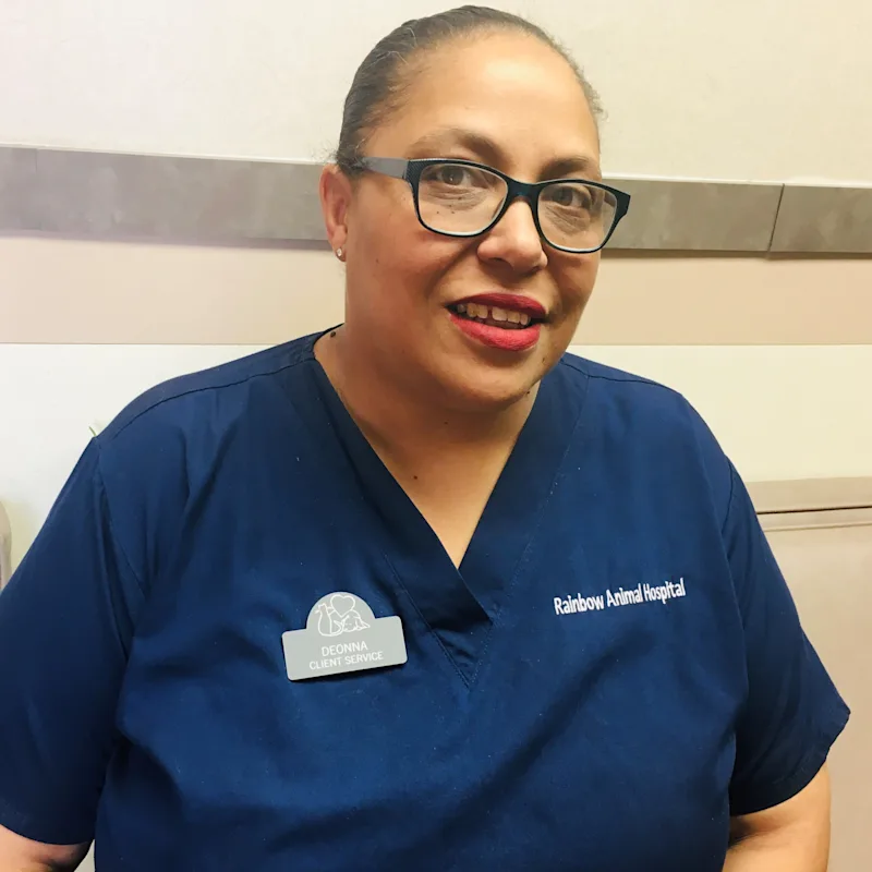 Deonna at Rainbow Animal Hospital Deonna at Rainbow Animal Hospital