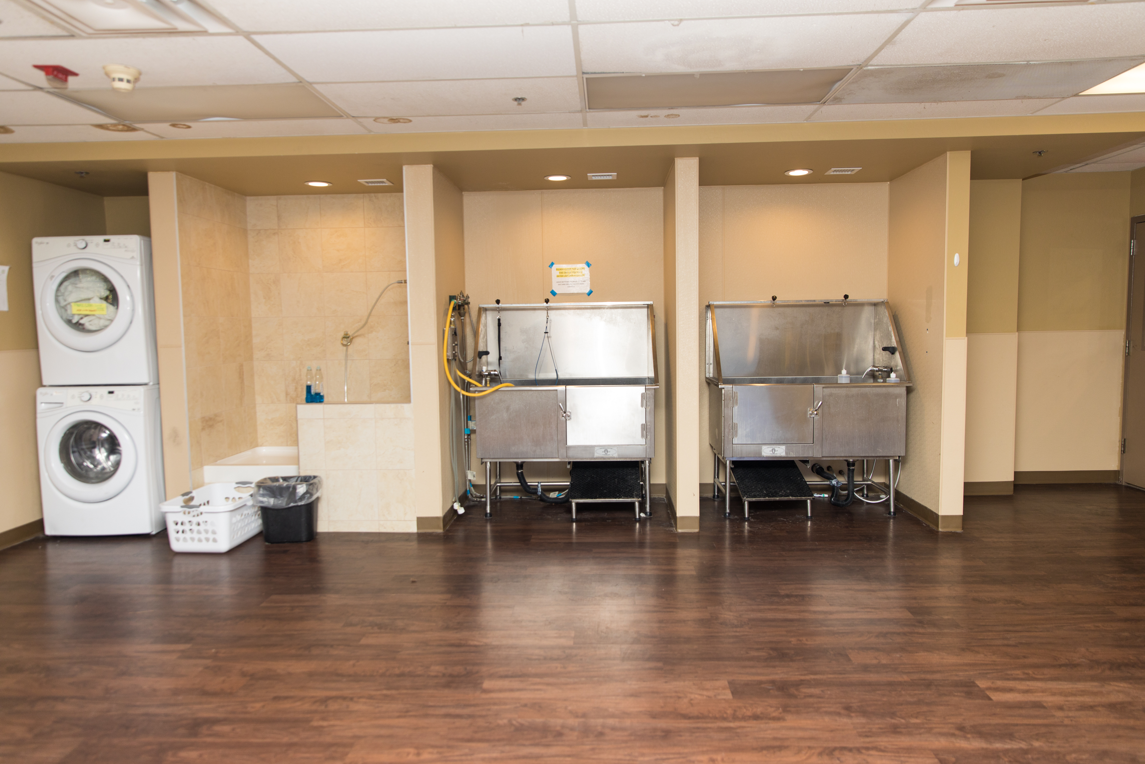  Doggie District - Mesa - Bathing Area