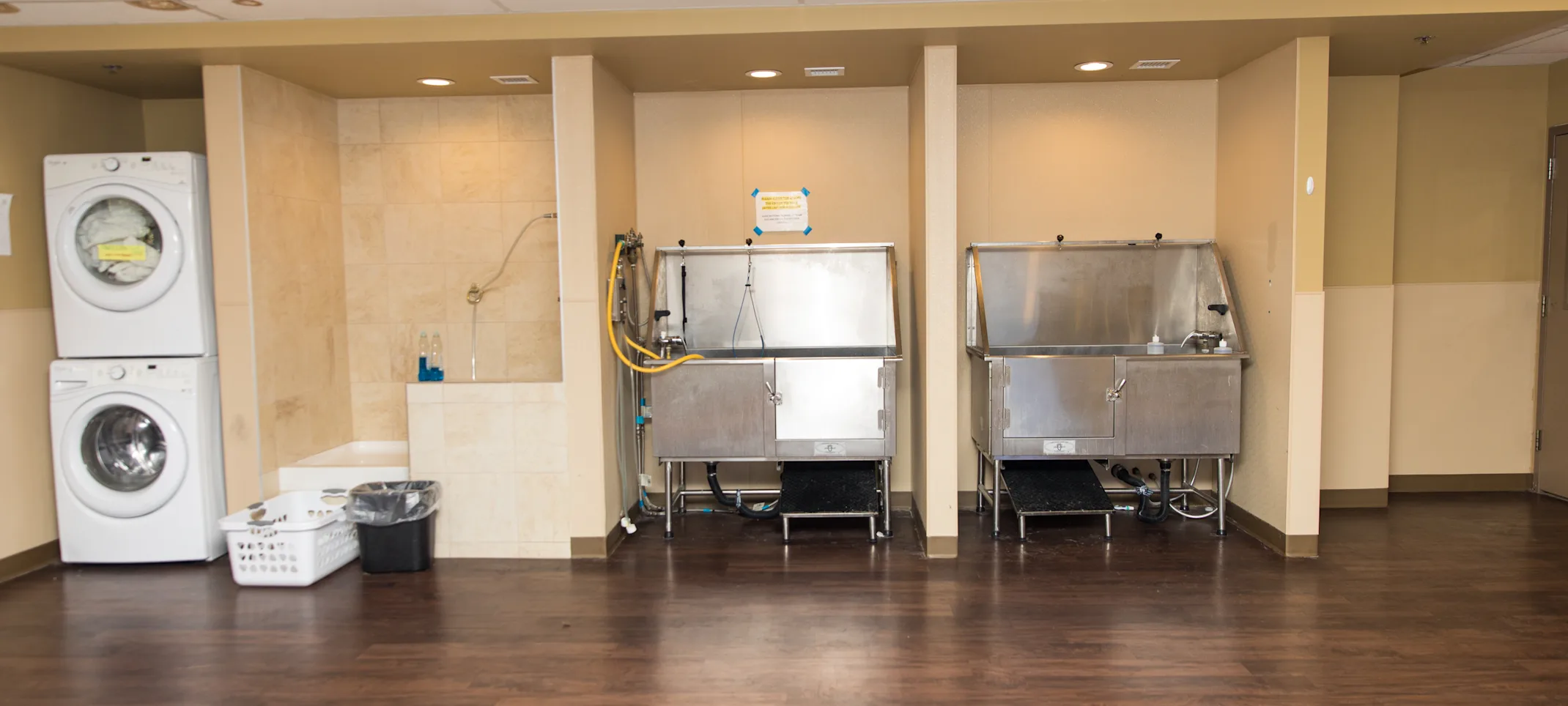 Doggie District - Mesa - Bathing Area  Doggie District - Mesa - Bathing Area