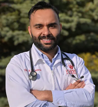 puppy pencil in place for Dr. Kamra puppy pencil in place for Dr. Kamra