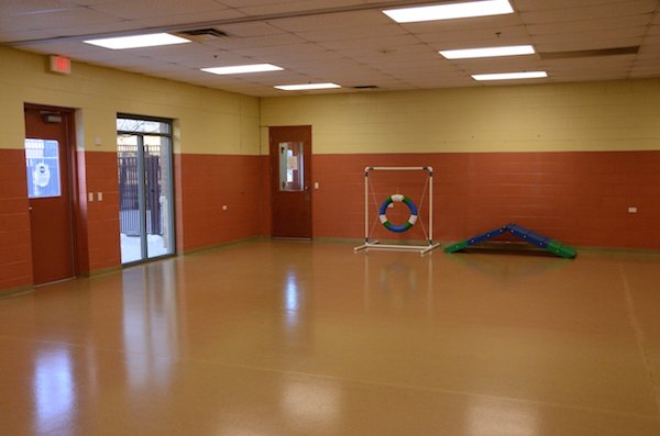 Elmhurst Animal Care Center Boarding room