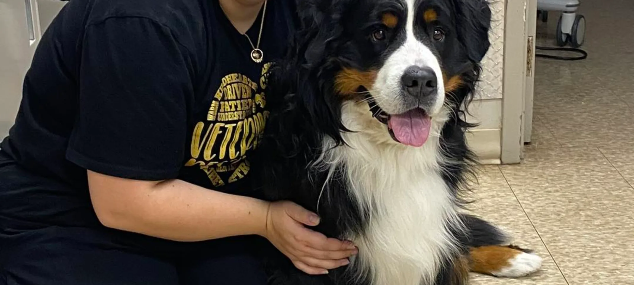 dog laying in a vet lap dog laying in a vet lap