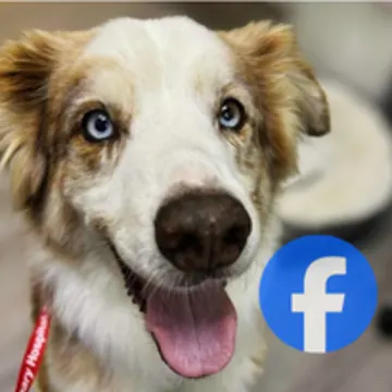 Facebook (LVCC West) Facebook (LVCC West)