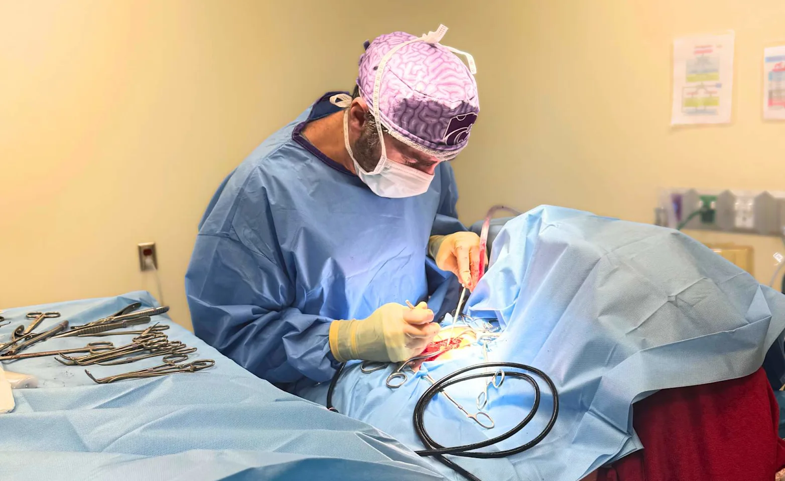 Vet performing neurosurgery on a patient. Vet performing neurosurgery on a patient.