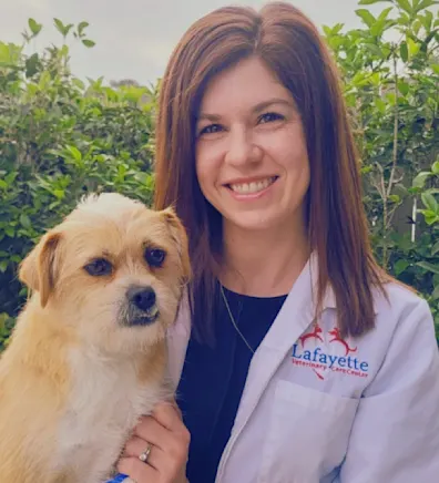 Dr. Heather Cutbirth Dr. Heather Cutbirth