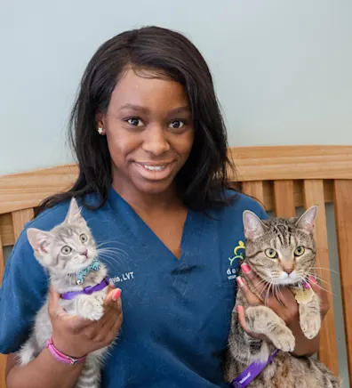 Briana Davis Briana Davis