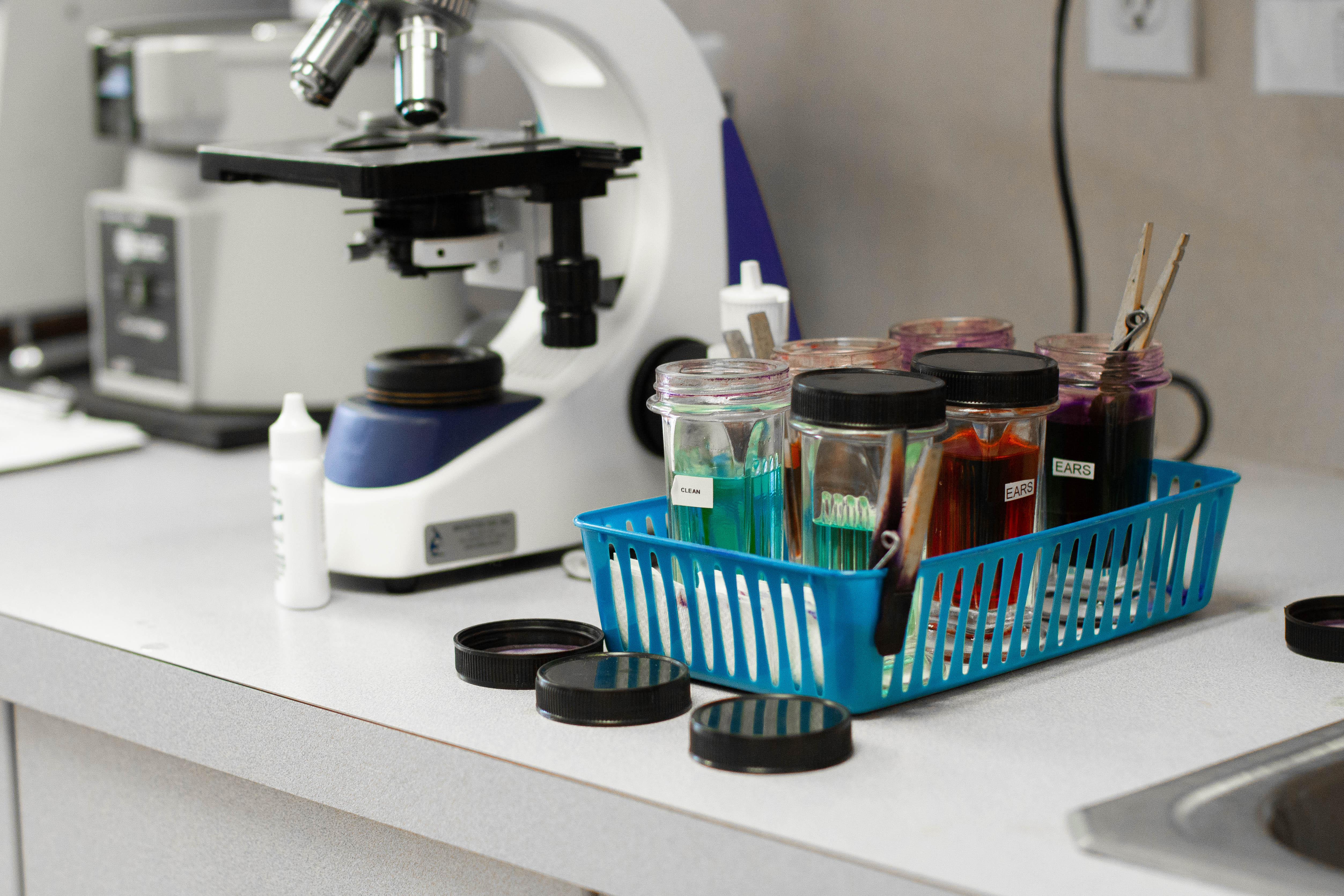 A picture of a microscope and a container of medical supplies next to it at their Poulsbo Marina Veterinary Clinic Lab.