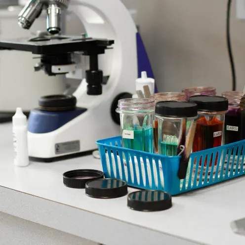 A picture of a microscope and a container of medical supplies next to it at their Poulsbo Marina Veterinary Clinic Lab.