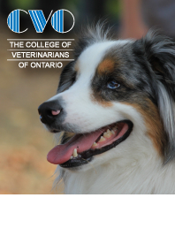College of Veterinarians of Ontario (CVO)