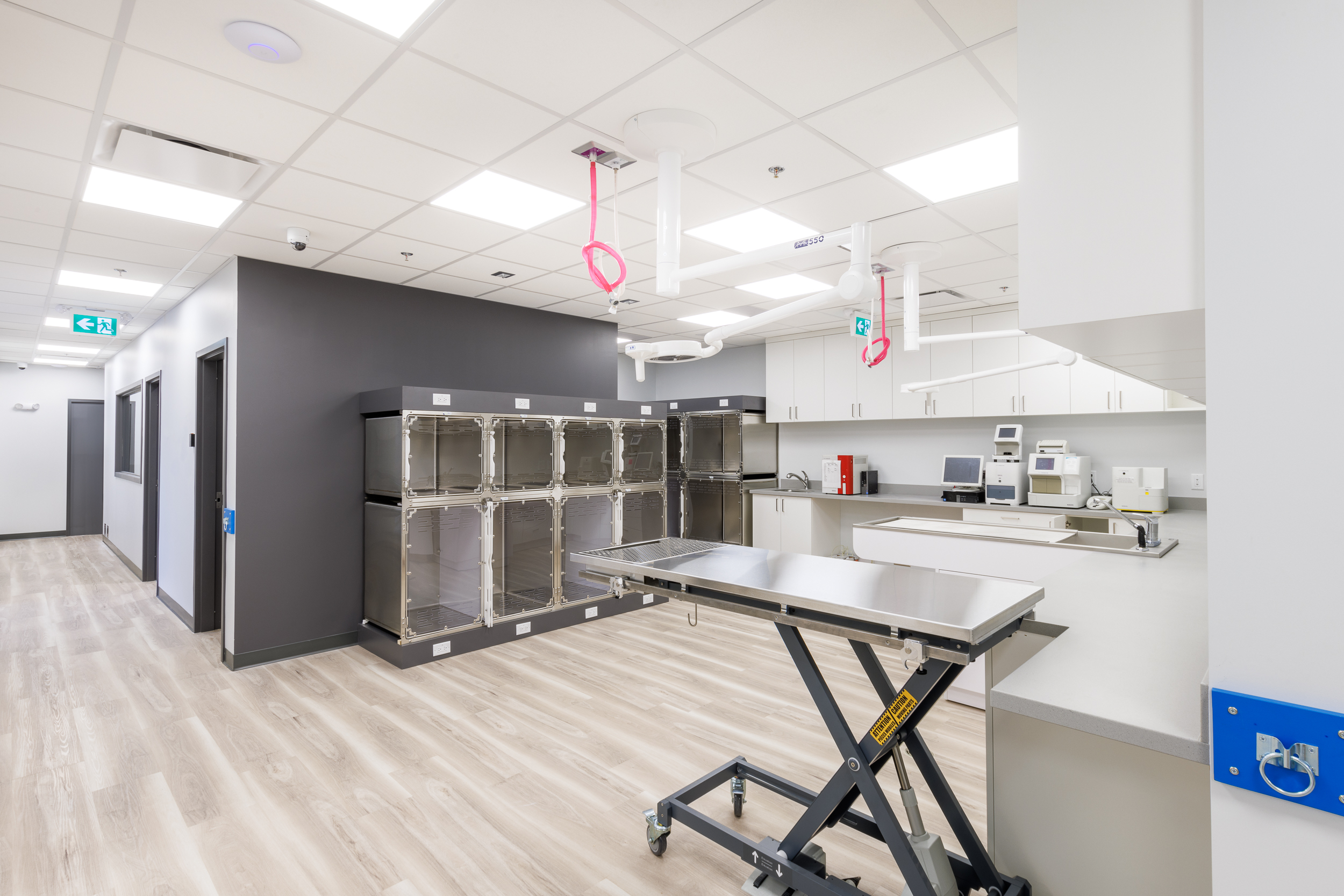 Second View of Treatment Area and Kennels at Westbank Animal Care Hospital