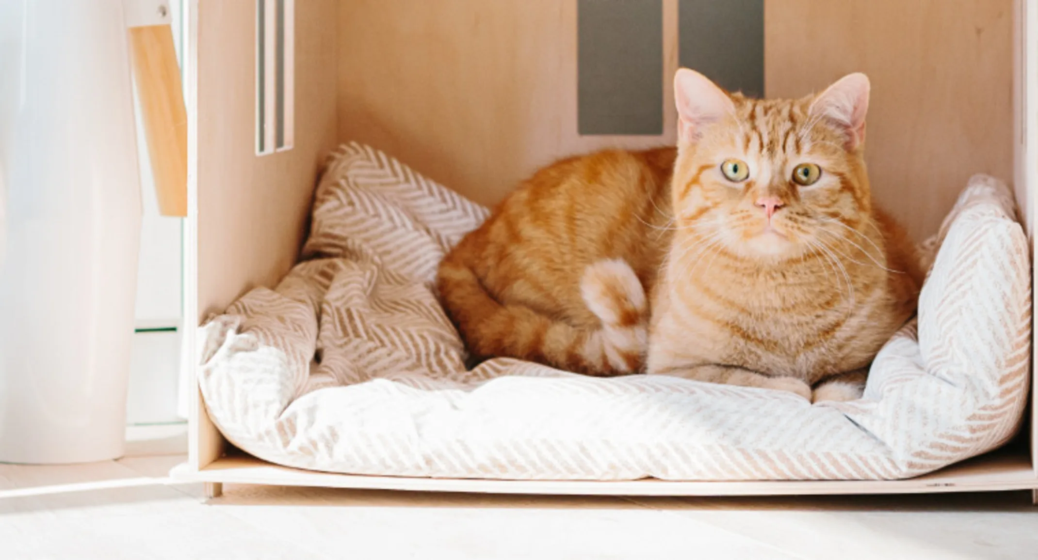 Orange Cat Laying in Wooden Cat House Orange Cat Laying in Wooden Cat House