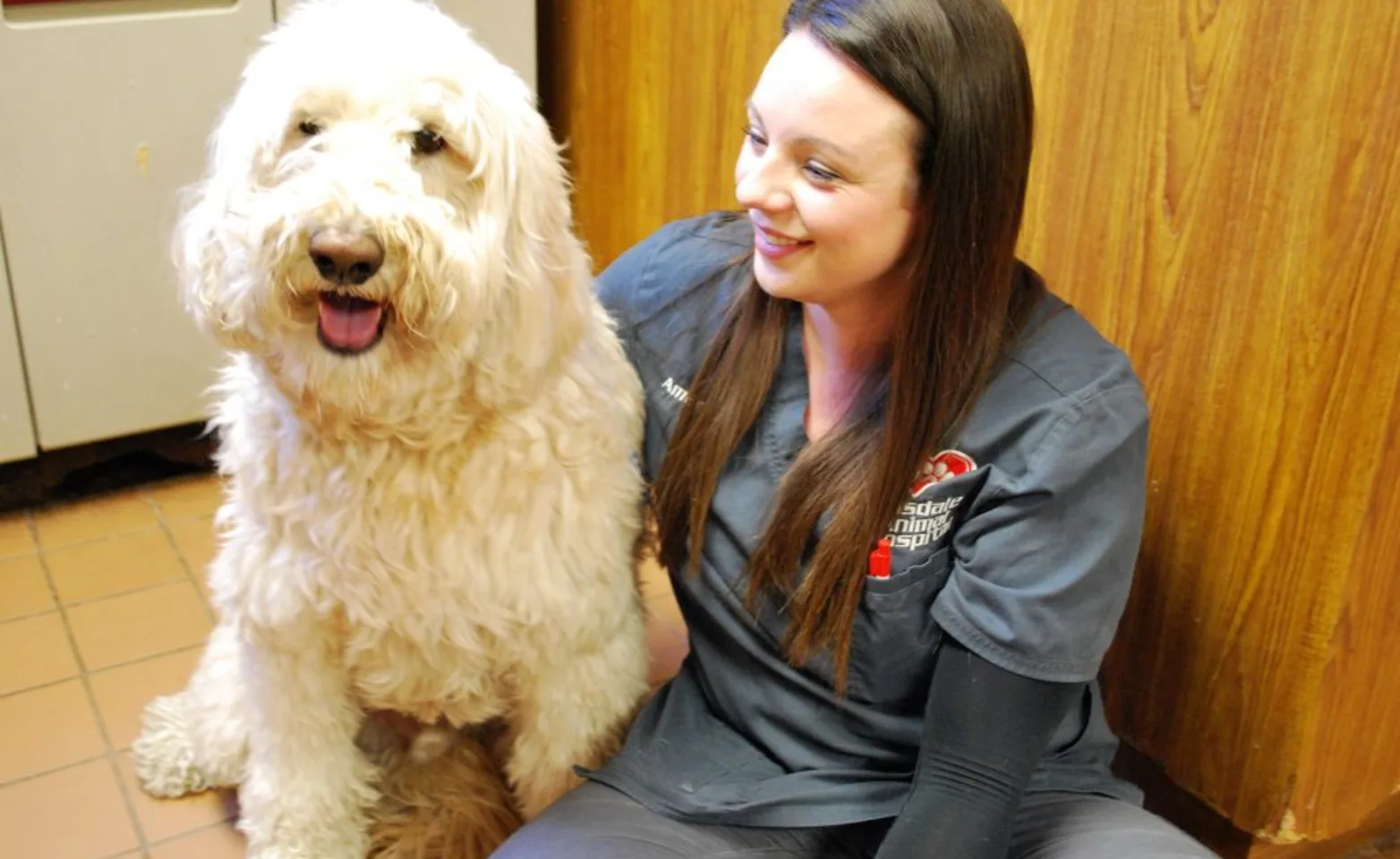 Veterinarian with a white dog Veterinarian with a white dog