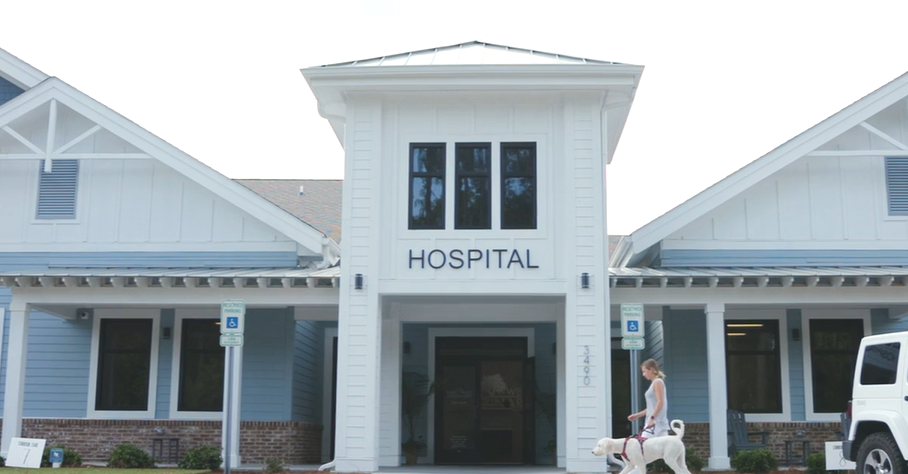 About Us video image of the front entrance for Park West Veterinary Associates 