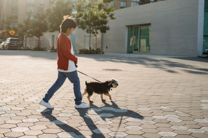 A dog walks on pavement outside of a PetSuites. 