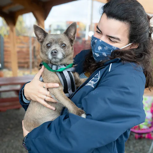 Staff holding dog Staff holding dog
