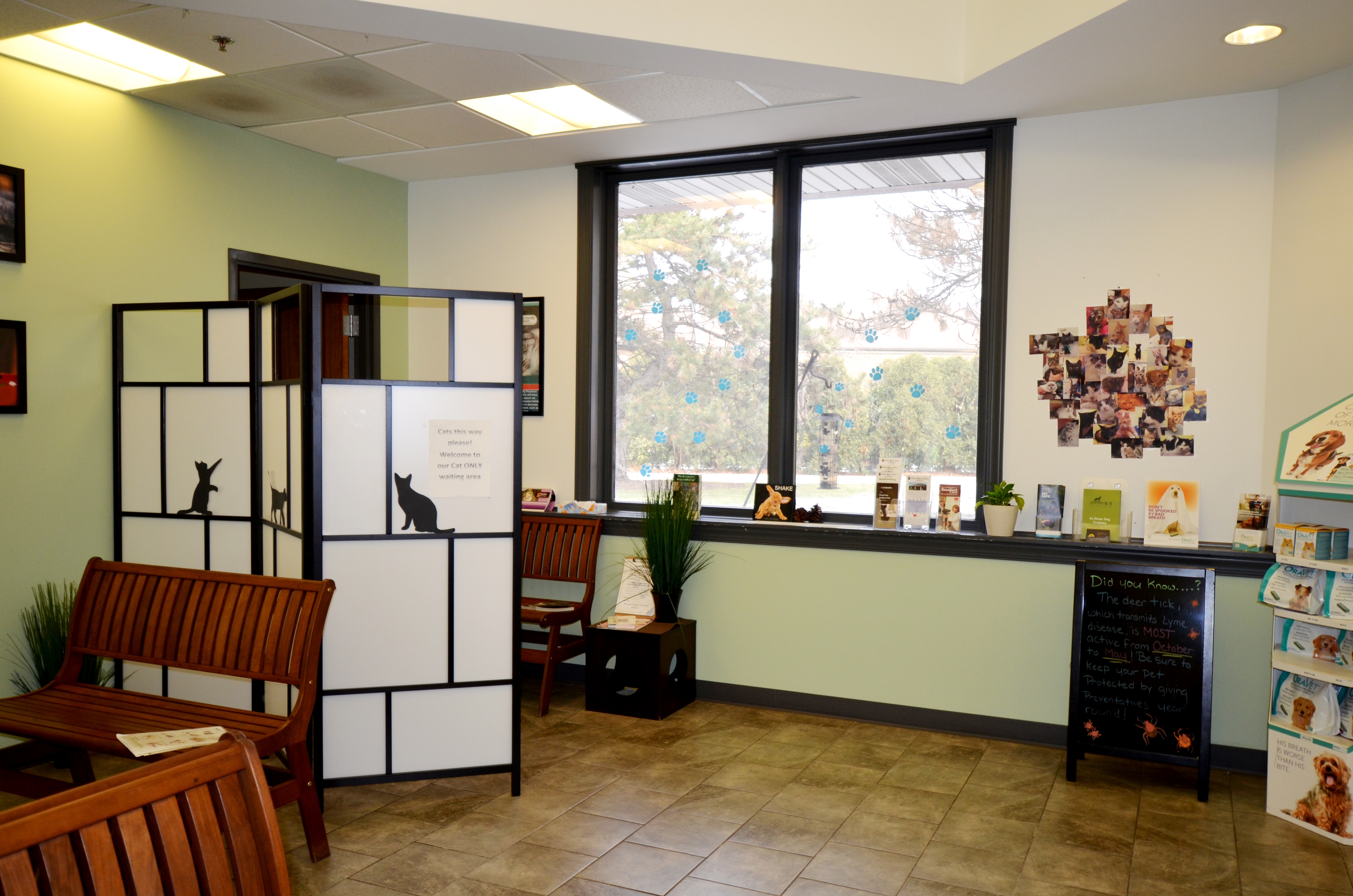 Lobby Cat Waiting Area