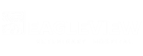 Eagleview Veterinary Hospital Logo Eagleview Veterinary Hospital Logo