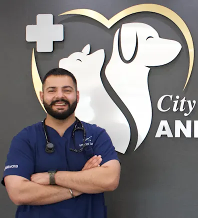 Dr. Perry (Perwez) Mann Dr. Perry (Perwez) Mann