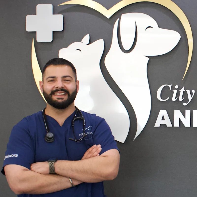 Dr. Perry (Perwez) Mann Dr. Perry (Perwez) Mann