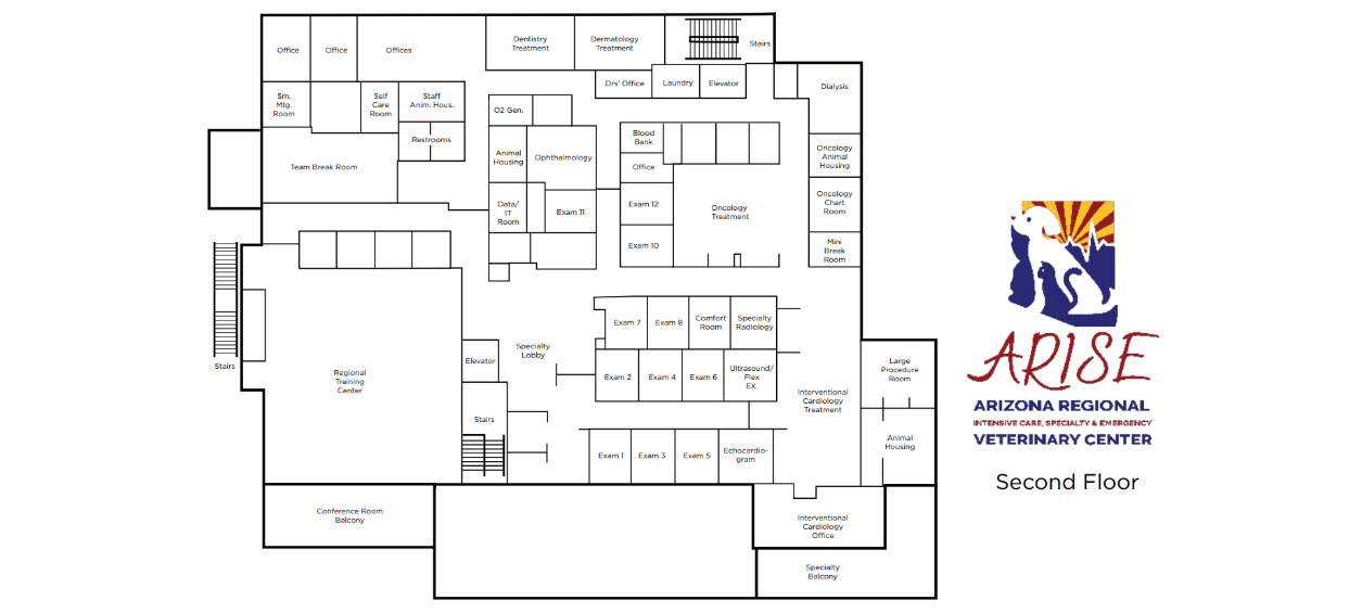 About Us ARISE Veterinary Center Queen Creek